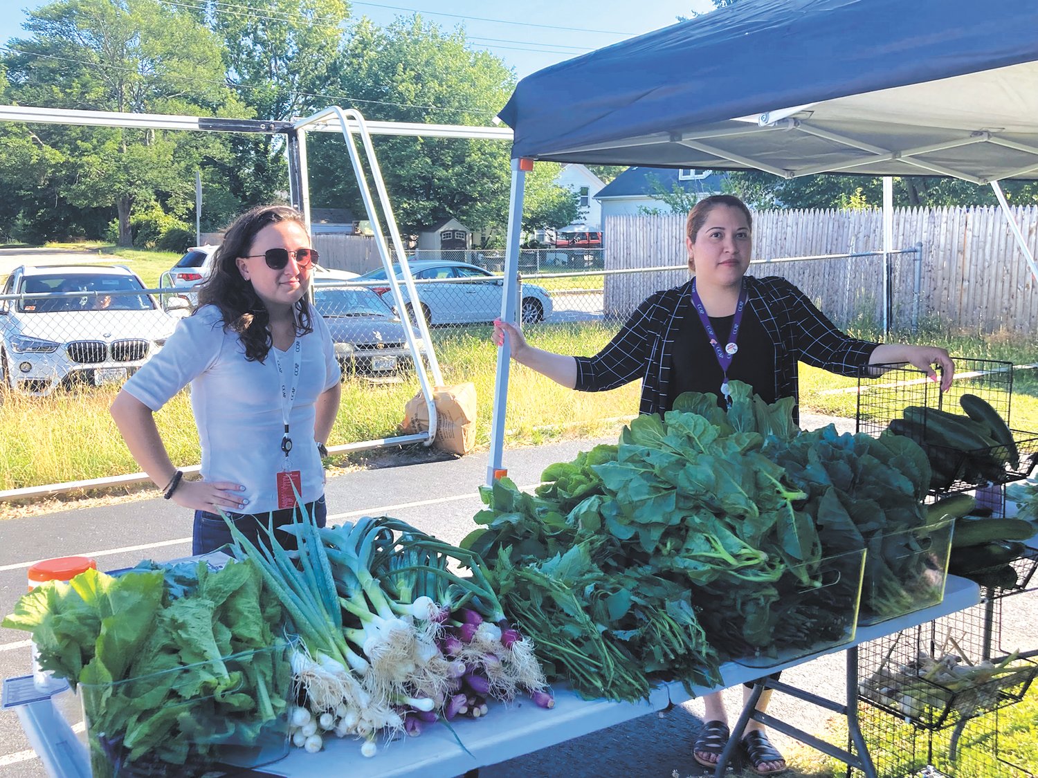 STOPPING BY FOR FRESH FOOD: Cranston residents stopped by OneCranston HEZ’s farmer’s market on July 7. The produce included kale, collard greens, garlic and scape, beets, amaranth, green onions, zucchini, cucumbers, scallions, bok choy and lettuce. (Herald photo)